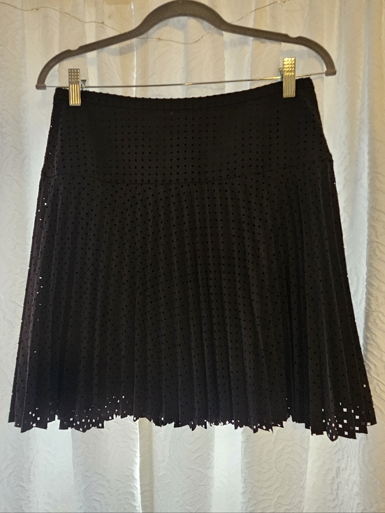 J. Crew Dresses & Skirts - J.Crew Black Pleated Eyelet Skirt NWT